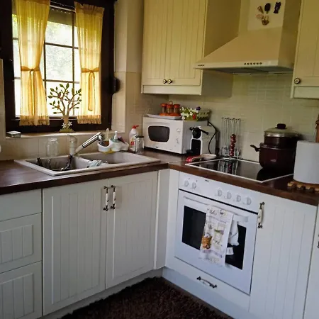 House In The Forest *