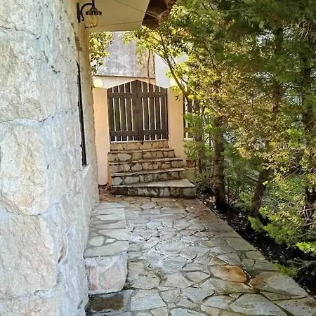 度假居 House In The Forest Pisia