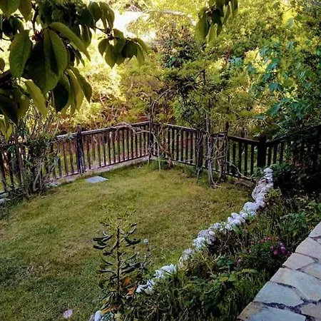 度假居 House In The Forest