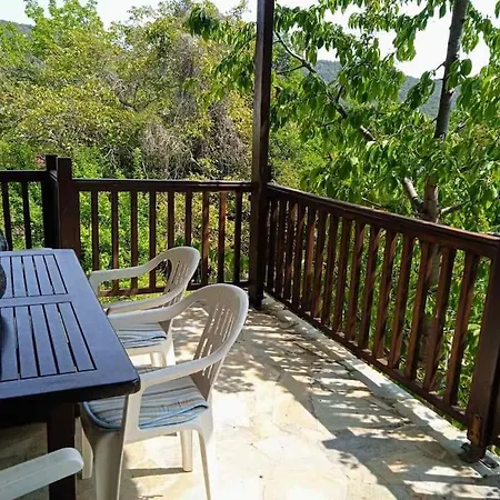 度假居 House In The Forest