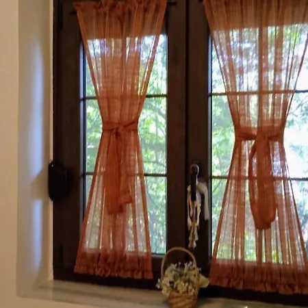 度假居 House In The Forest *