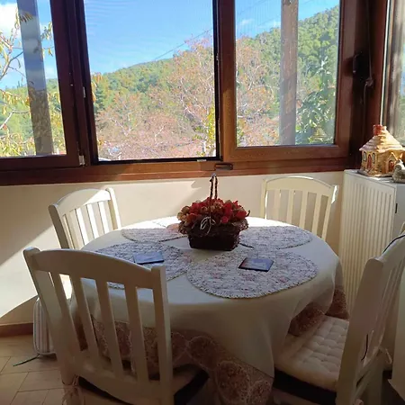 House In The Forest *