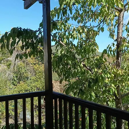 Holiday home House In The Forest *