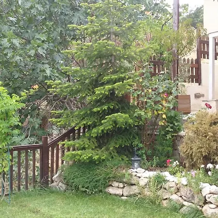 House In The Forest *