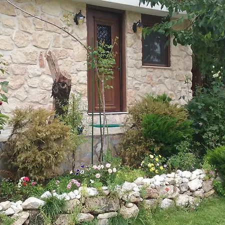 Holiday home House In The Forest Pisia