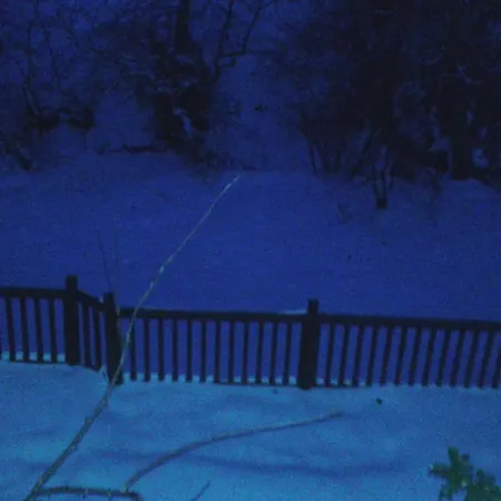 House In The Forest Feriehus *