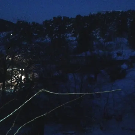 度假居 House In The Forest Pisia