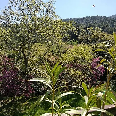 House In The Forest 度假居 *