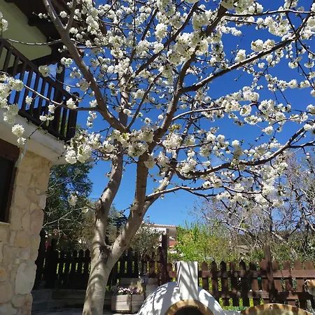 Holiday home House In The Forest *
