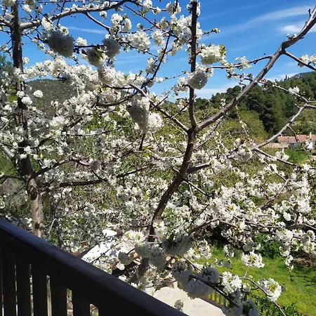 House In The Forest 度假居 Pisia