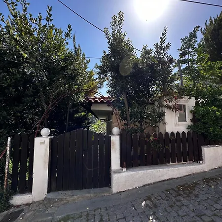 House In The Forest 度假居 *