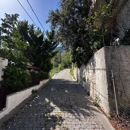 House In The Forest *