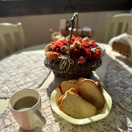 House In The Forest Pisia