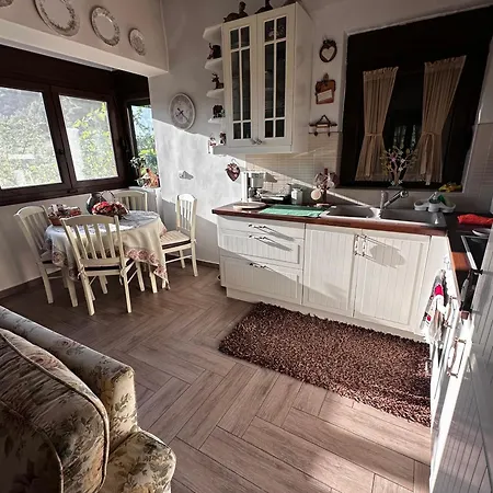 House In The Forest * Pisia