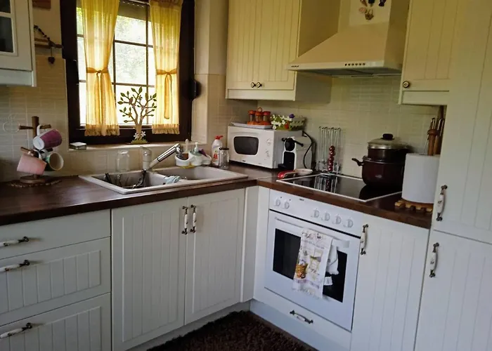 House In The Forest *