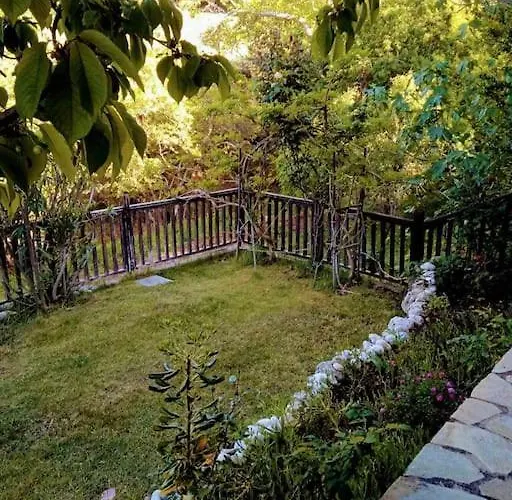 Σπίτι διακοπών House In The Forest