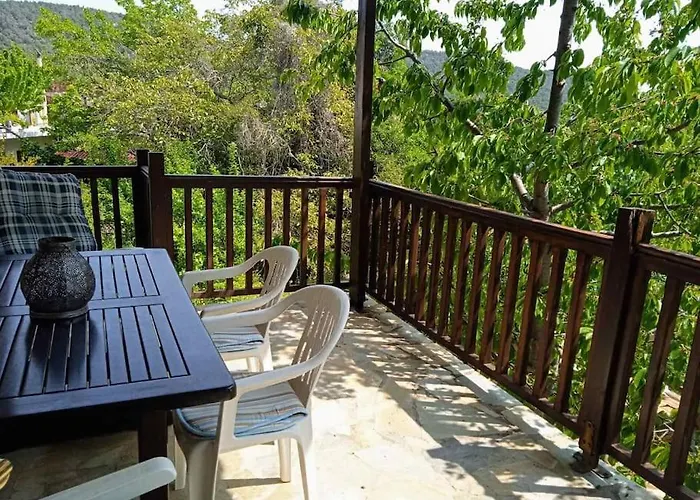 別荘 House In The Forest