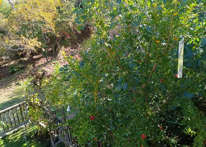 House In The Forest Σπίτι διακοπών Pisia