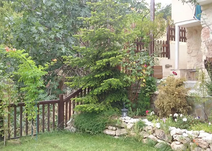 House In The Forest *