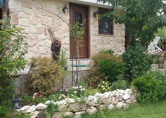 別荘 House In The Forest Pisia