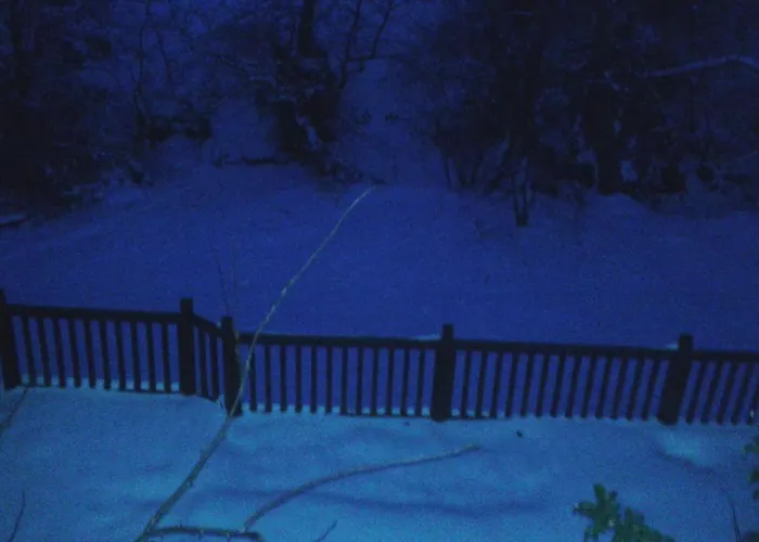 House In The Forest Nyaraló *