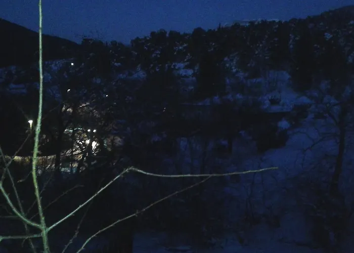 別荘 House In The Forest Pisia