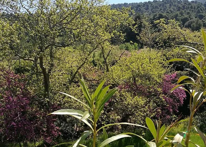 House In The Forest Σπίτι διακοπών *