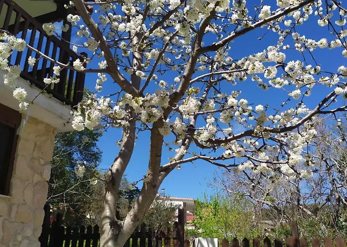 Nyaraló House In The Forest *