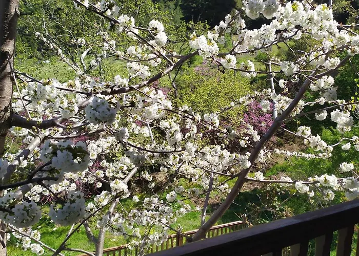 Nyaraló House In The Forest