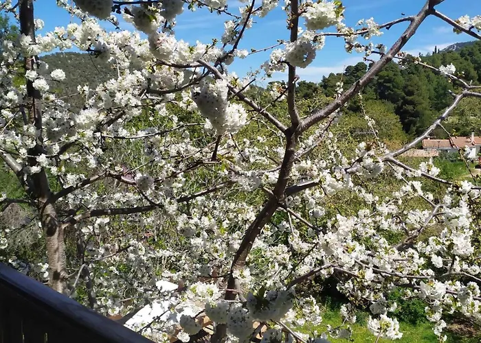 House In The Forest Nyaraló Pisia