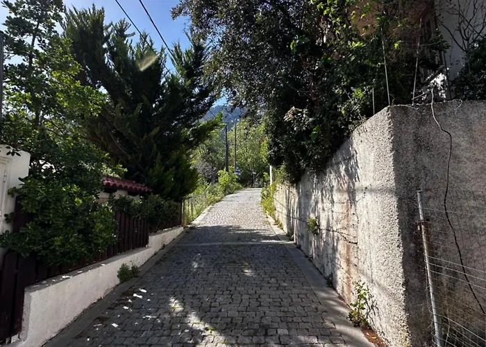 House In The Forest *