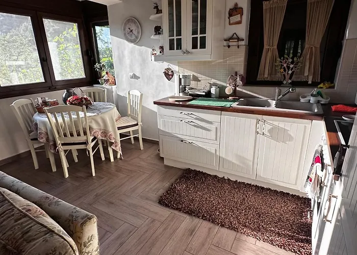 House In The Forest * Pisia